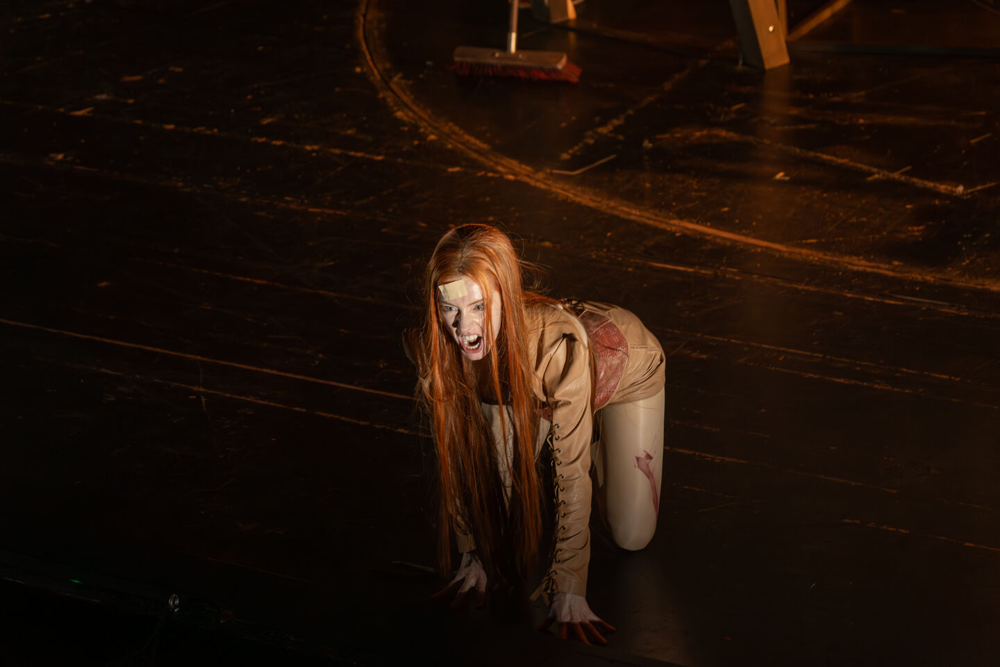 in: DAS SCHLAUE FÜCHSLEIN